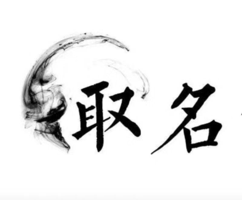  海安宝宝取名 大师一对一人工起名